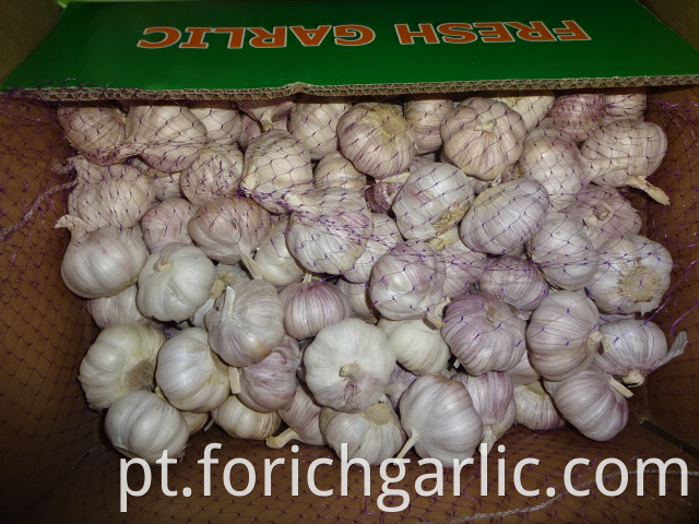 Garlic Fresh New Crop